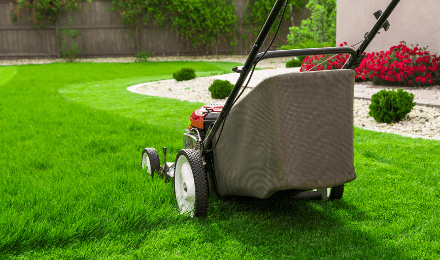 Lawn Mowing